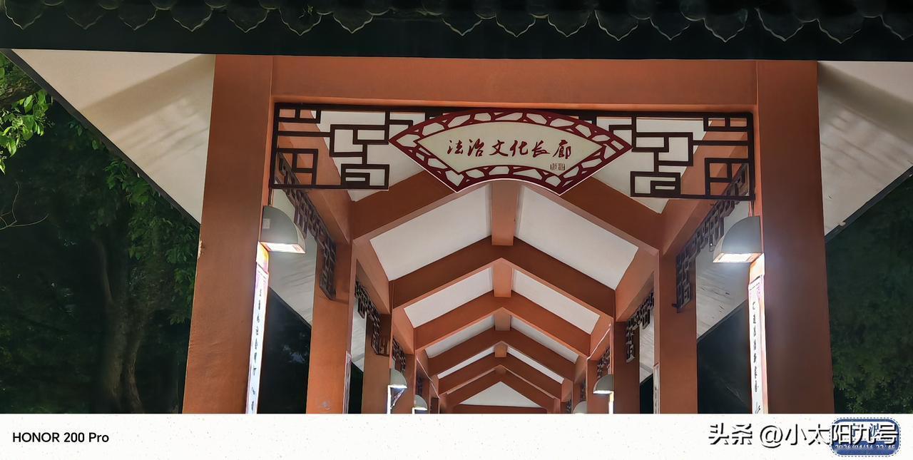 银菊公园里的法治长出来廊