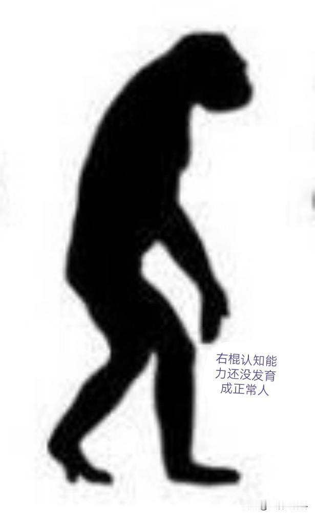 右棍的利己主义思维丝毫看不见1979年前那个时代，我们用极少的投入更多的福利，让