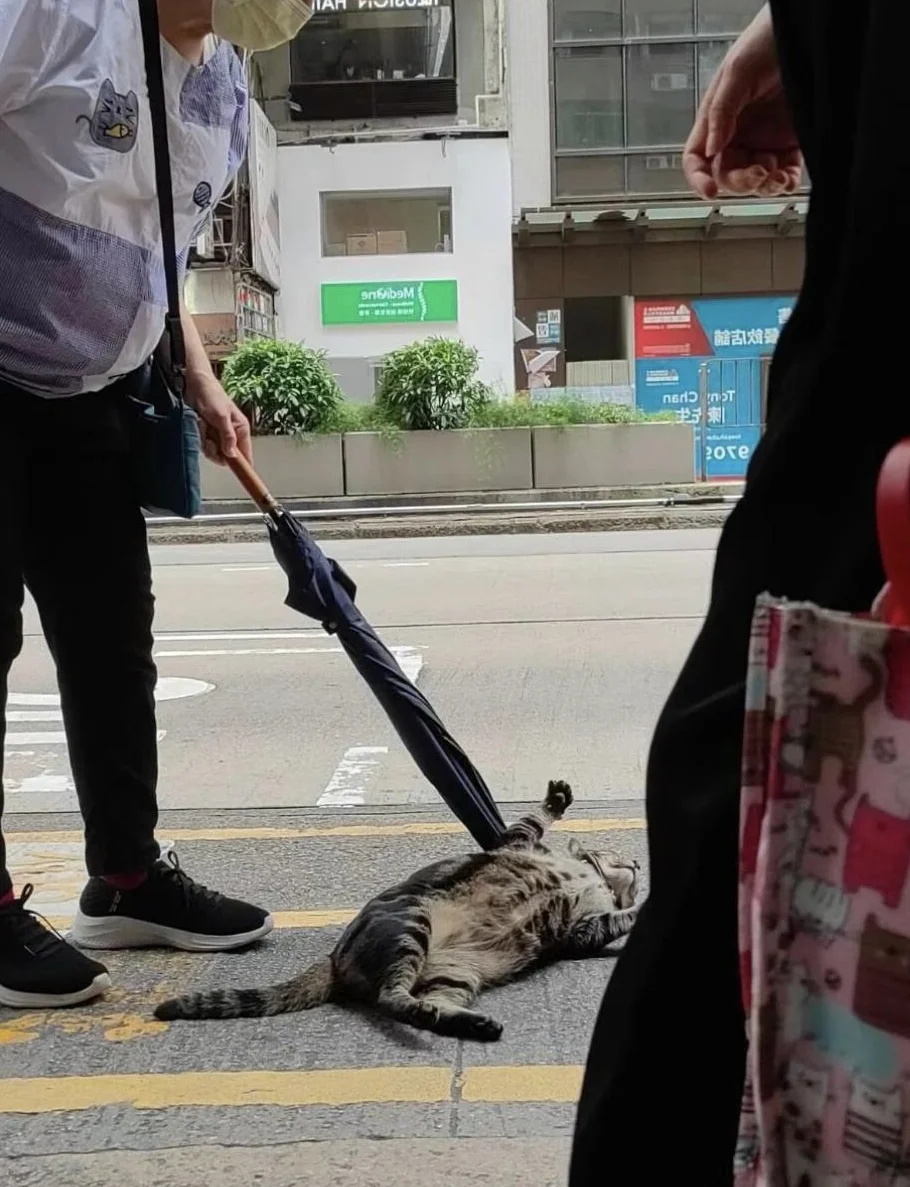 婆婆叫阻B返入舖頭，冇阻人排隊等巴士～