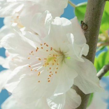 阳光信用[绿丝带]‎阳光‎信用 [绿丝带]‎每日一善 爱自己，爱生活，爱思考，爱