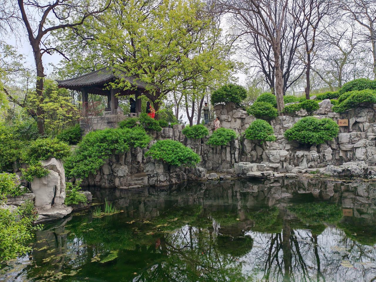 。 今天去公园散步，随手拍了好多美照。公园里的花开得正艳，红的像火，粉的像霞，白