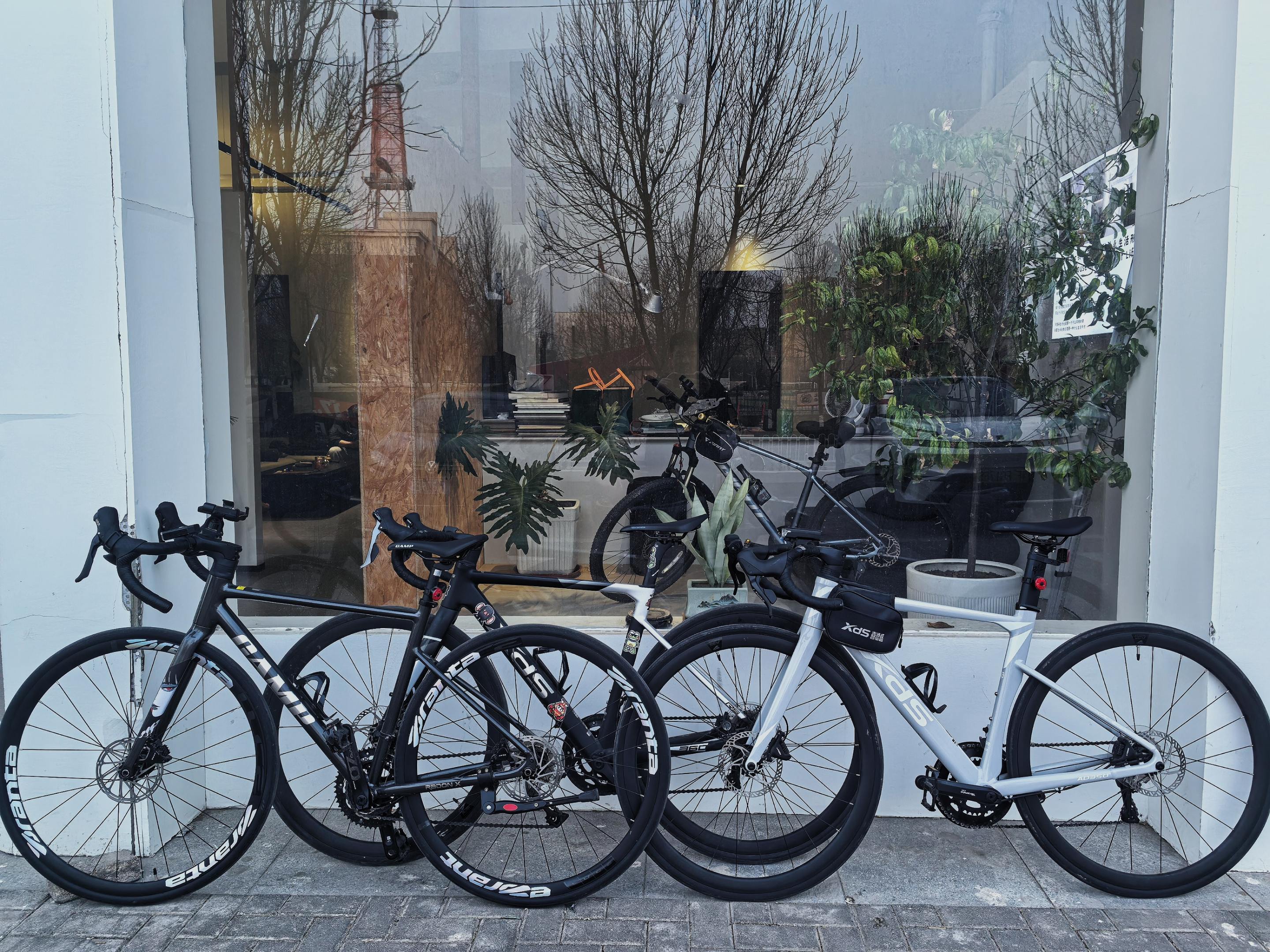 新的一年，开启的仍然是 以自由为主题的剧本