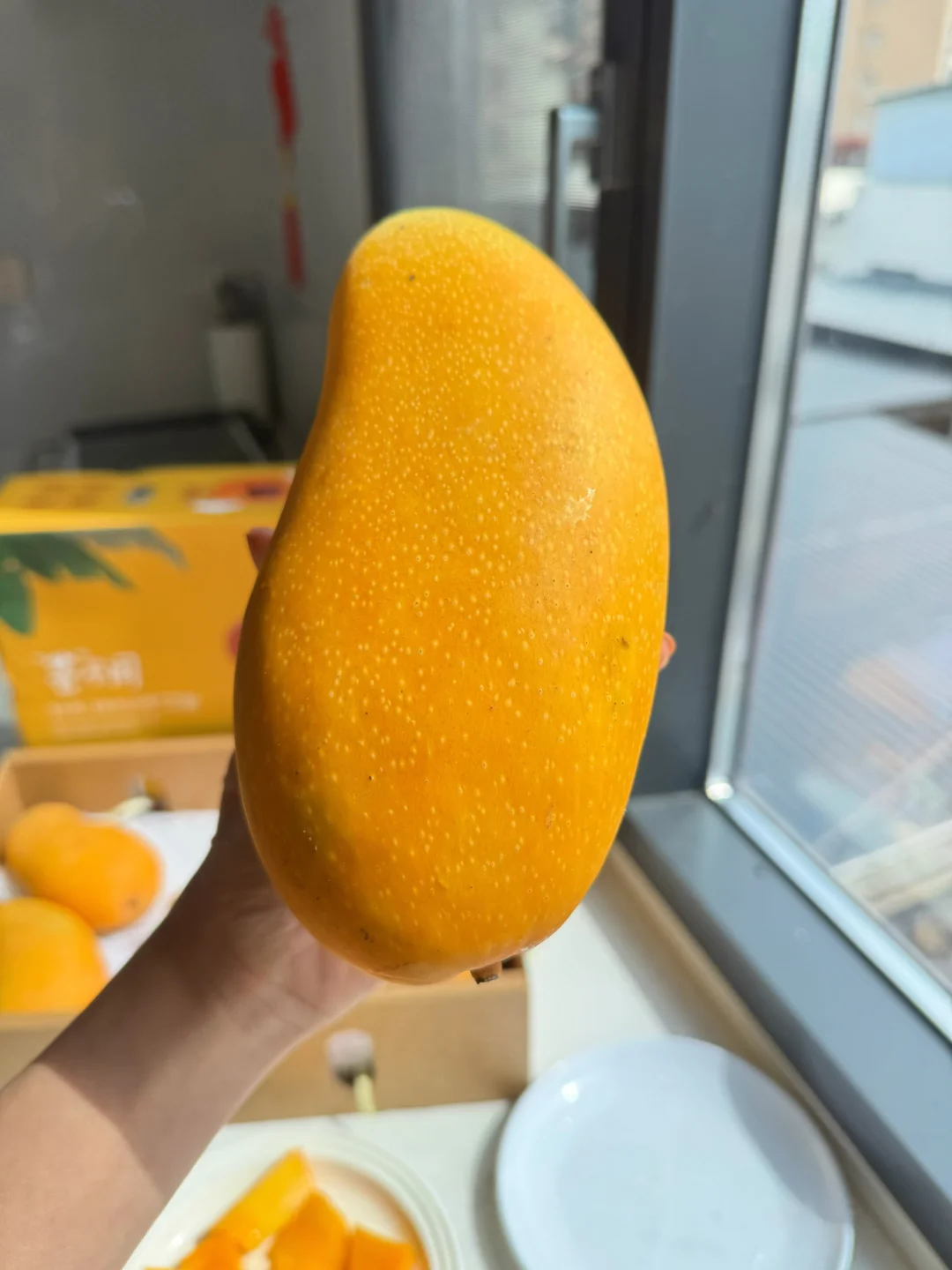 芒果控们看过来，这个芒果真的巨好吃！