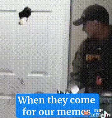 被狠狠的嘲讽了