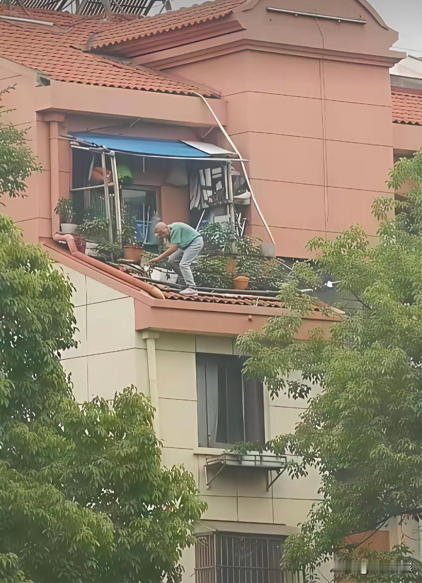 在这地方养花，简直是在玩命，这个老大哥看起来是不数也不小了，还敢在这么高的地方养