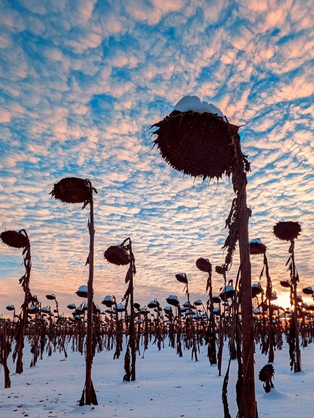 乌克兰UA  每天早中晚停电对大家影响都很大，我住的地方是天然气供暖所以不会受停