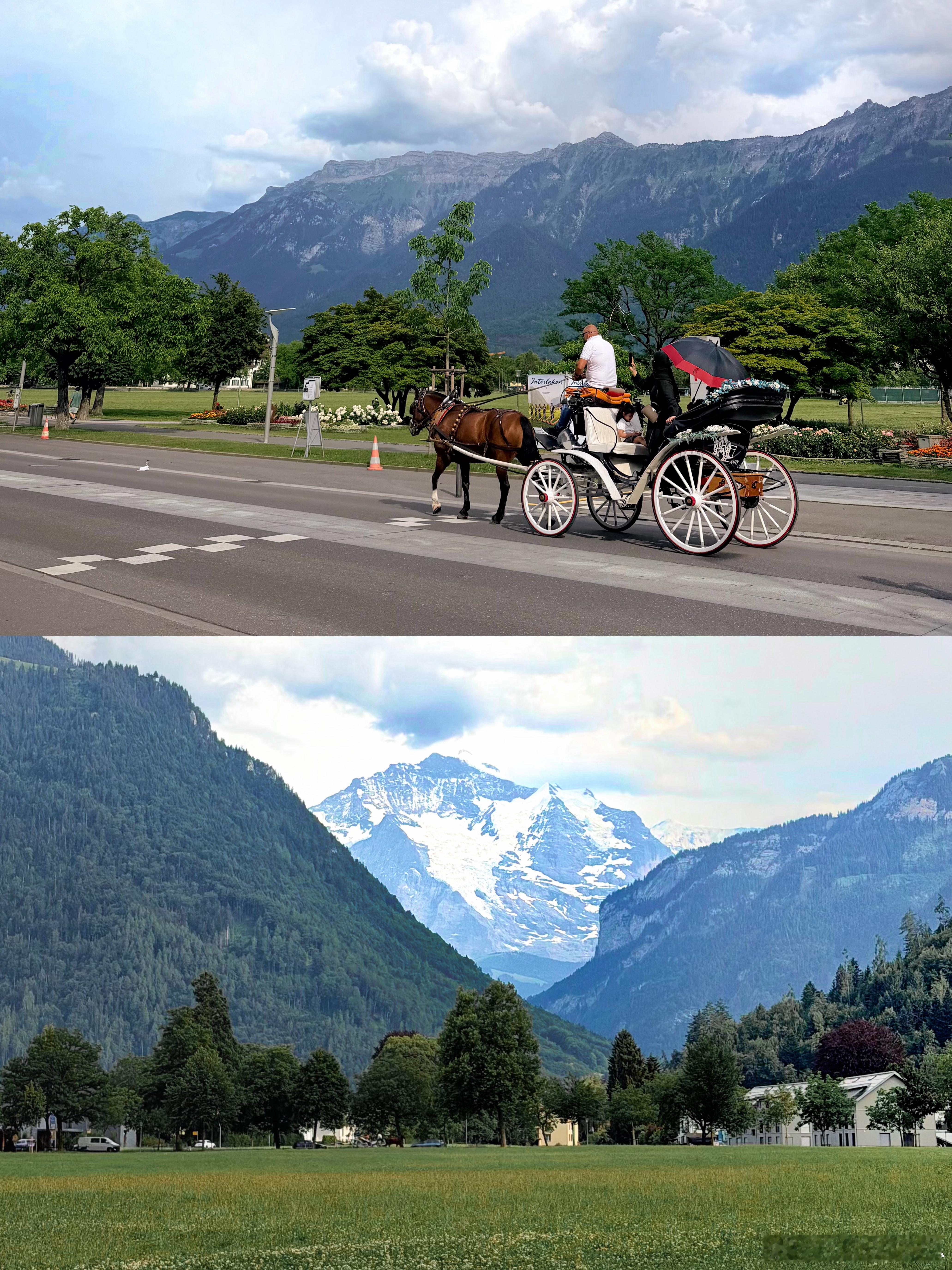🏔️ 