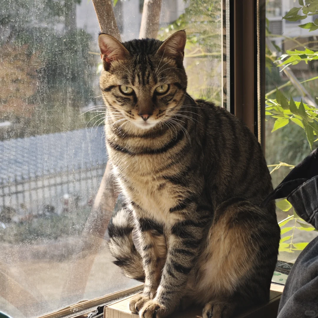 大人也不过如此嘛（我说我自己）