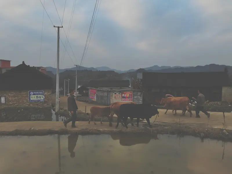 👇
 
痛心！单亲爸爸打铁花成网红，除夕夜一盆炭火夺命，留下俩幼女全网破防
 