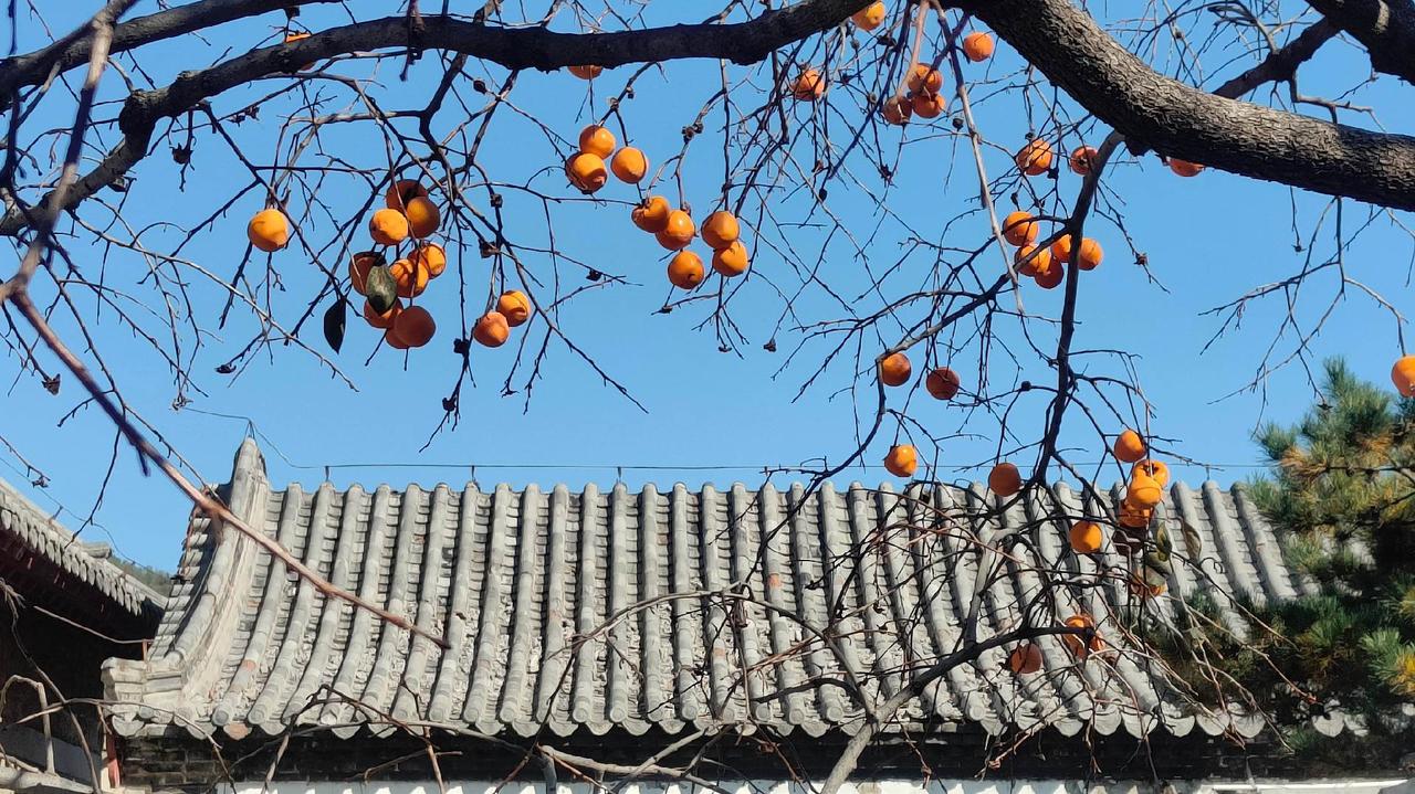 #古建筑#山东#泰安#历史#风景
第一次见这种古建筑，啥风格？啥类型