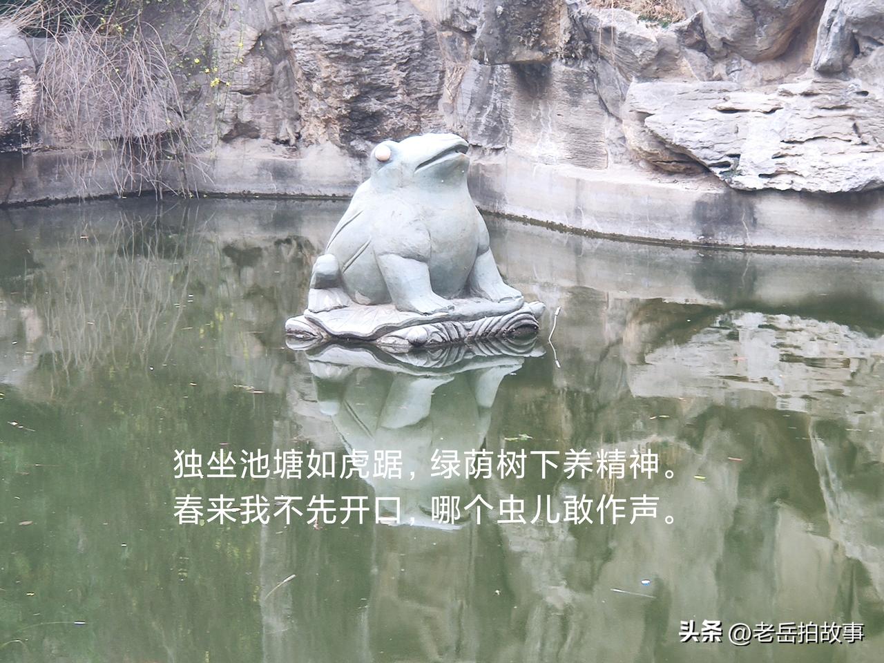 诗言志，歌永言此言不虚！今天上午到人民公园遛弯，看到到处是姹紫嫣红的花朵和花下摆