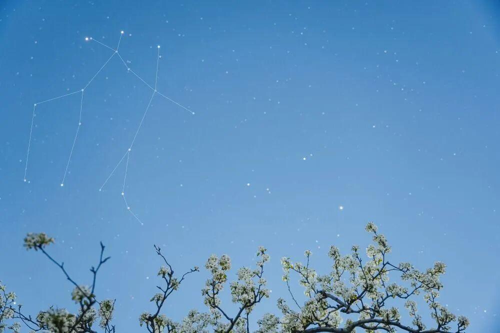 冬日生活打卡季微笑星座