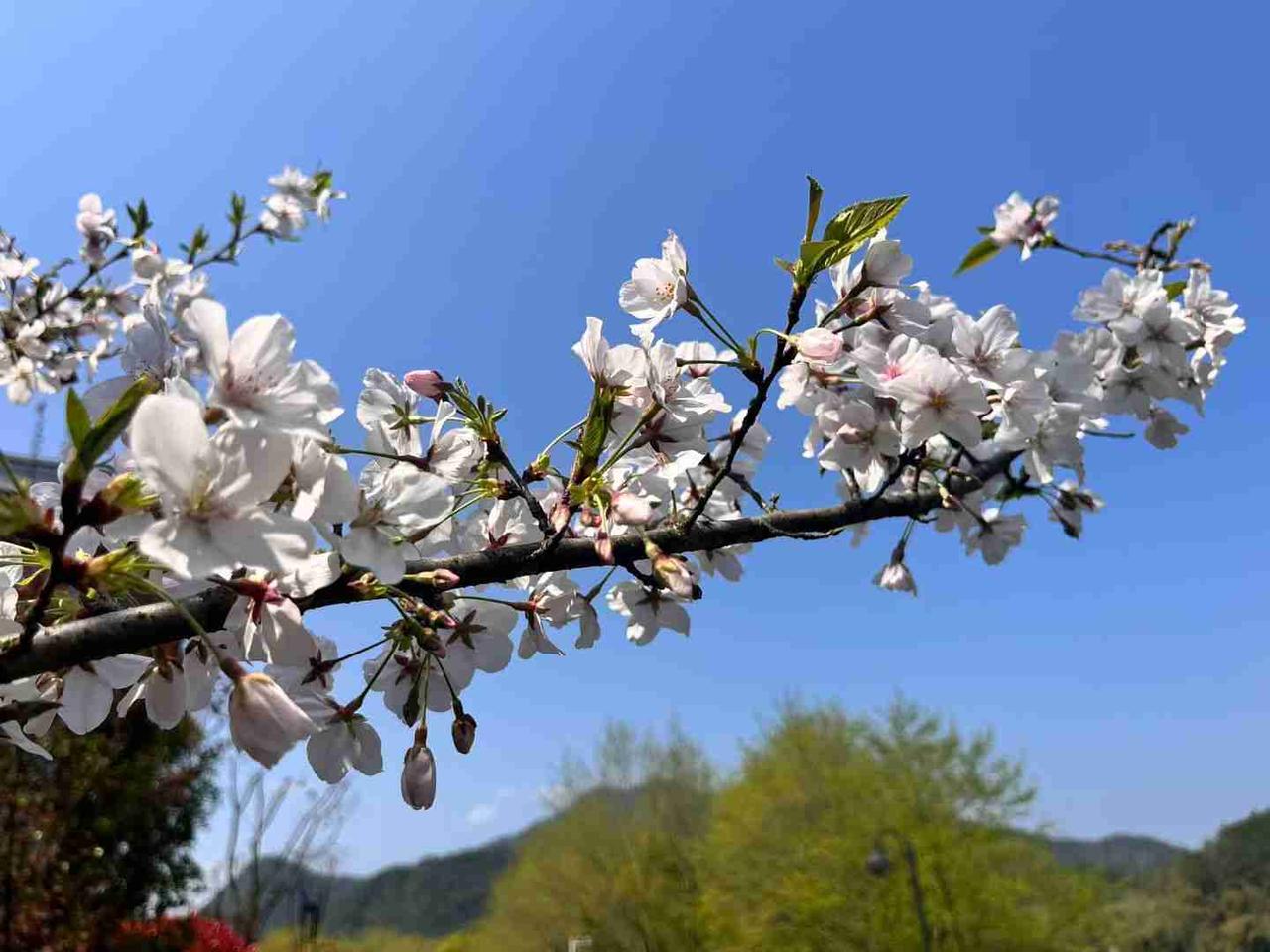 我的今日状态：💰期待暴富
我这里的天气：🌤️多云