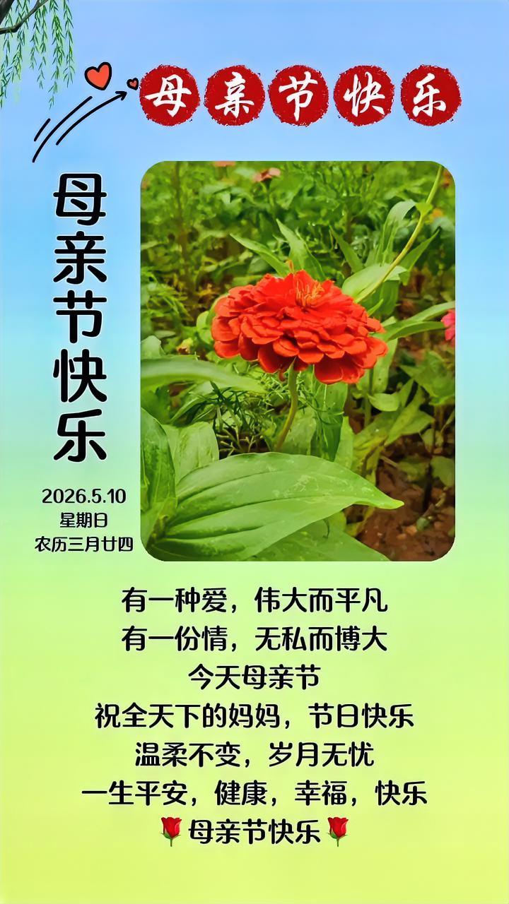母亲是这个世界上最无私，掏心掏肺的伟大女性，也是最不可能害你，骗你，欺你的人！