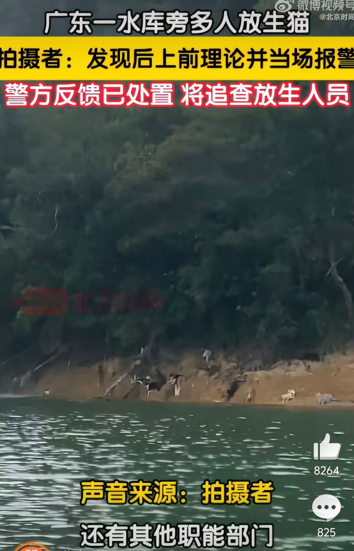 警方正追查水库放生猫人员 放生鱼的我见过，但是往水里放生猫的我还是头一次！这又是