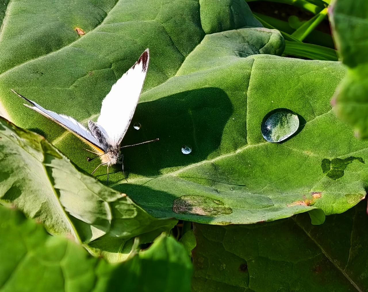 感受春天的气息
