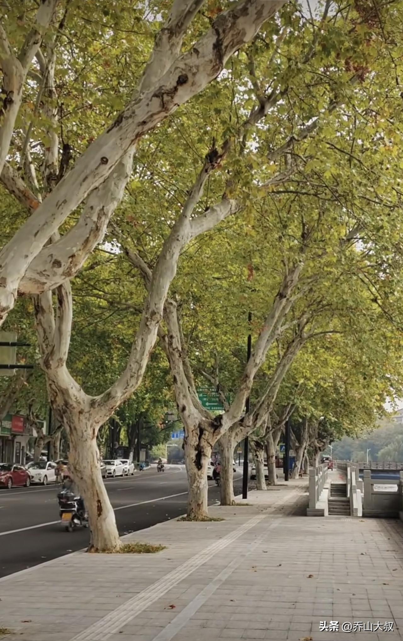 听过一句话：“改变别人，是蠢；改变自己，是神！”愚笨的人，总是凡事先从别人身上找