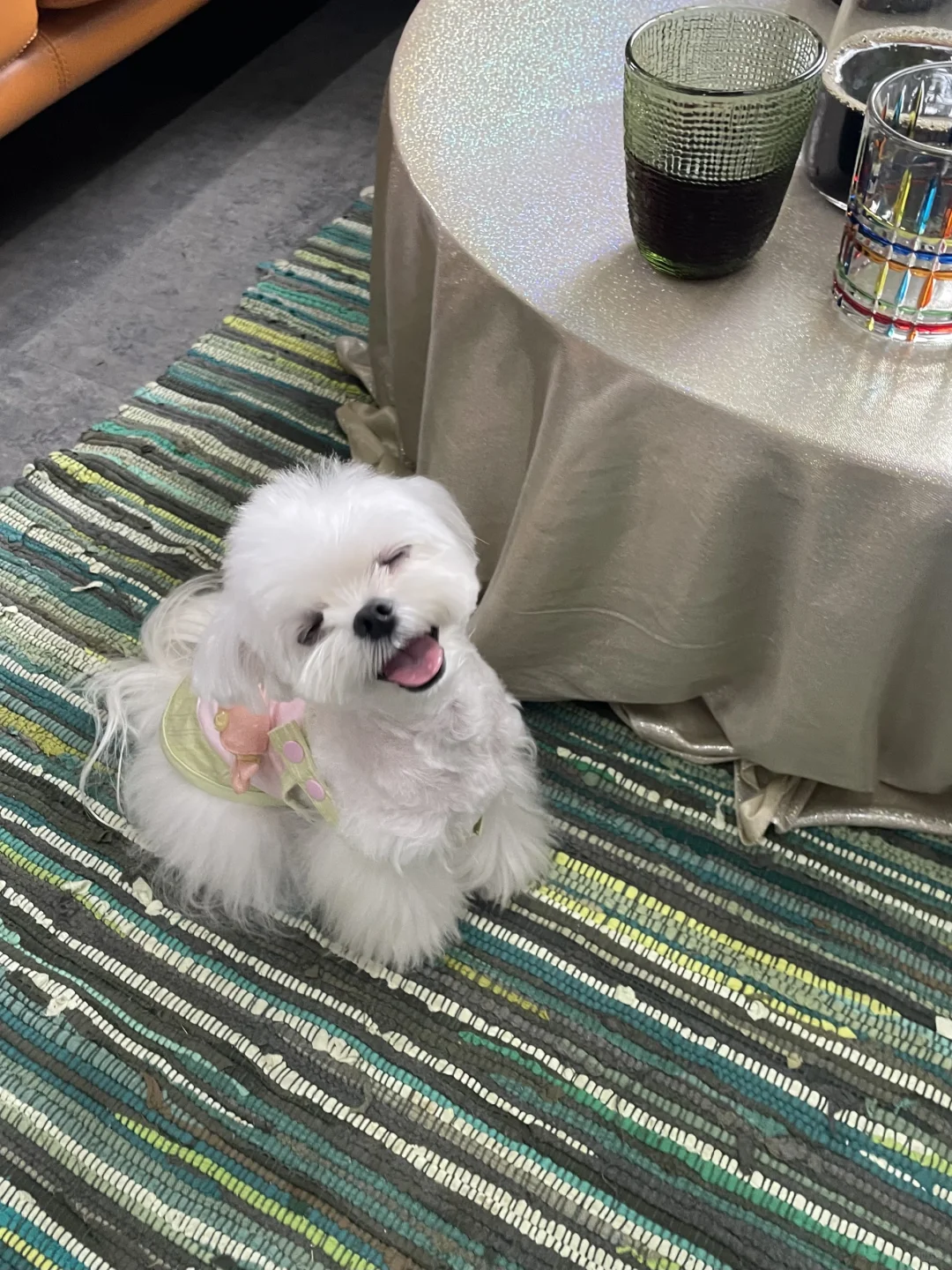 OMG！它真的在笑耶
