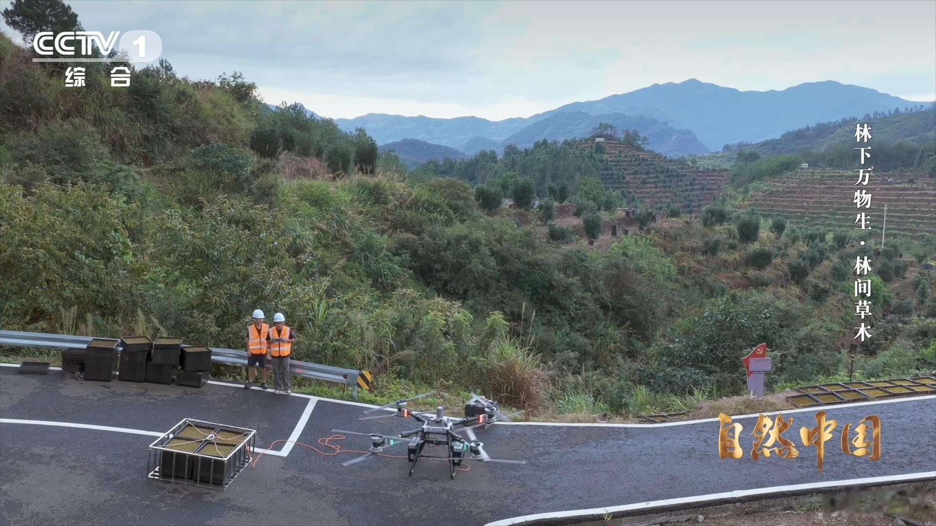 一架架无人机在中国农村运货 当一架架无人机在中国农村的天空中划过，一场运输革命正