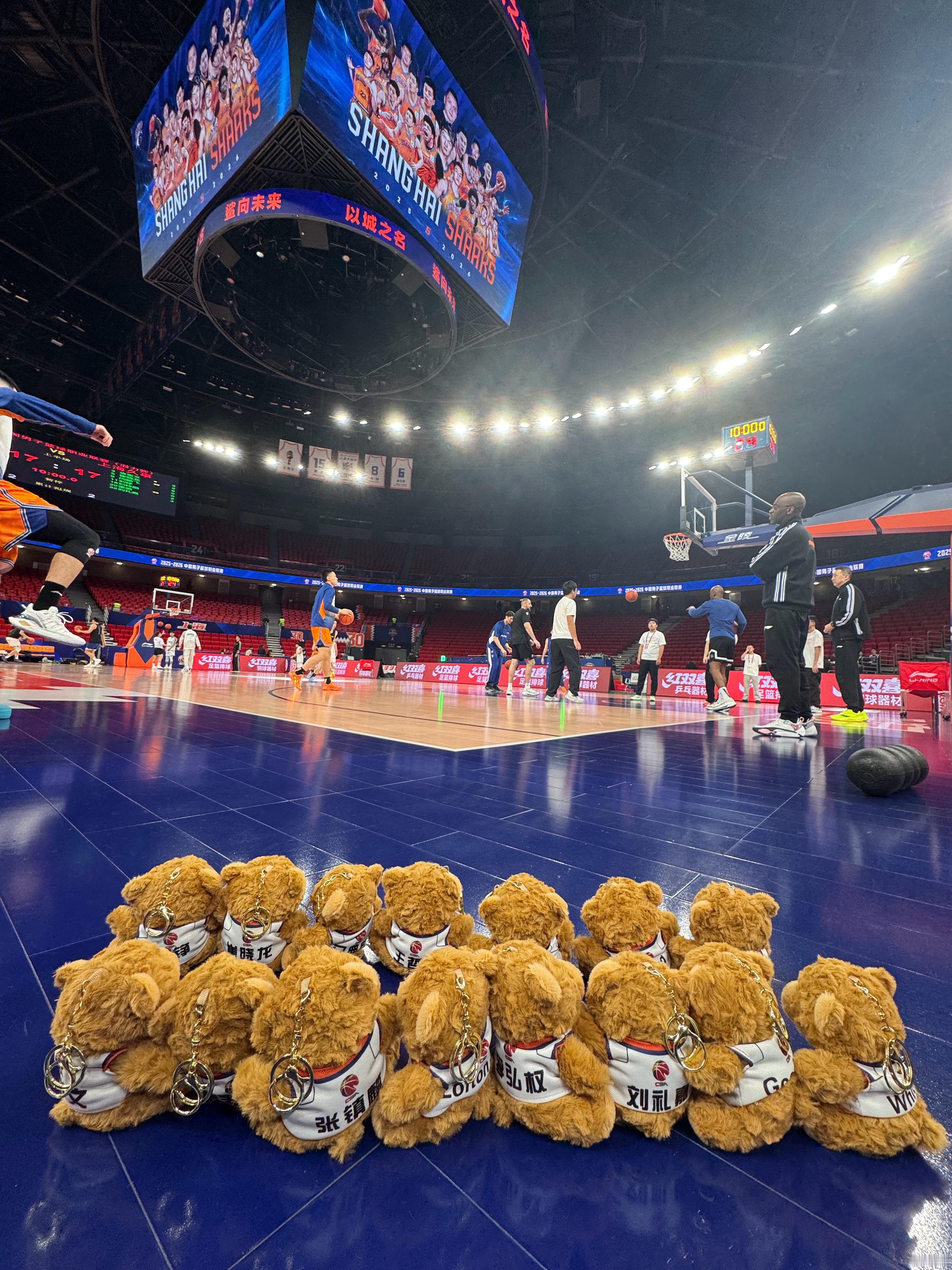 今天是小熊派送官上海久事大鲨鱼 上海·上海体育馆