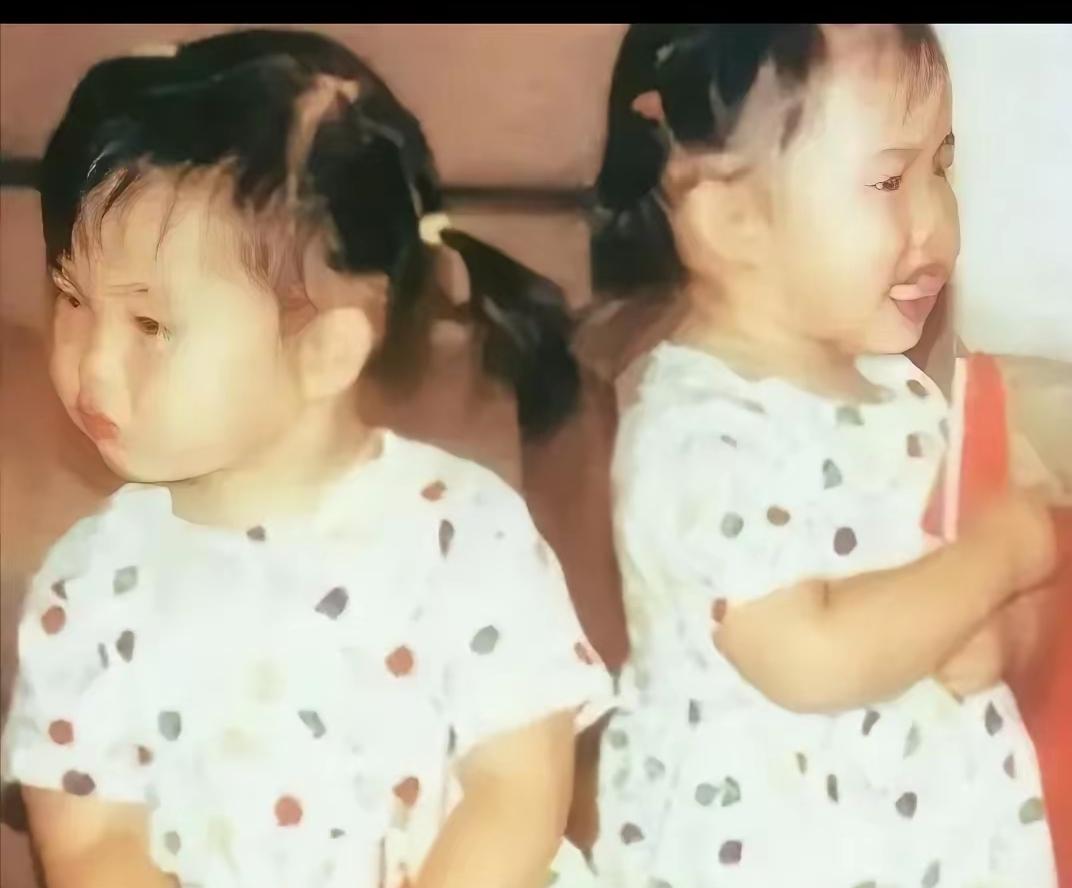 萝莉岛让人想起陈冲，她曾收留过广西的一对双胞胎姐妹，后来因为自己生下女儿，就把双