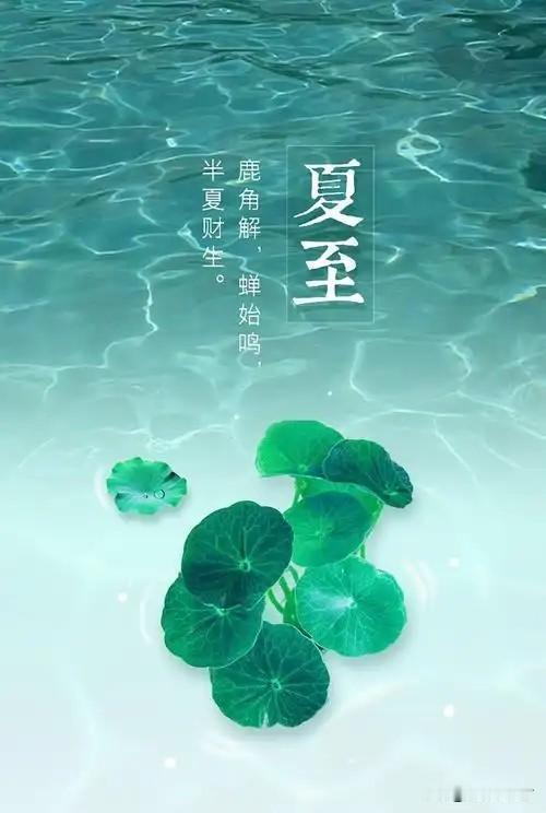 完整榜单 | 夏至：最长白昼里荷风送香来

你有没有发现，今年的夏至，来得格外“