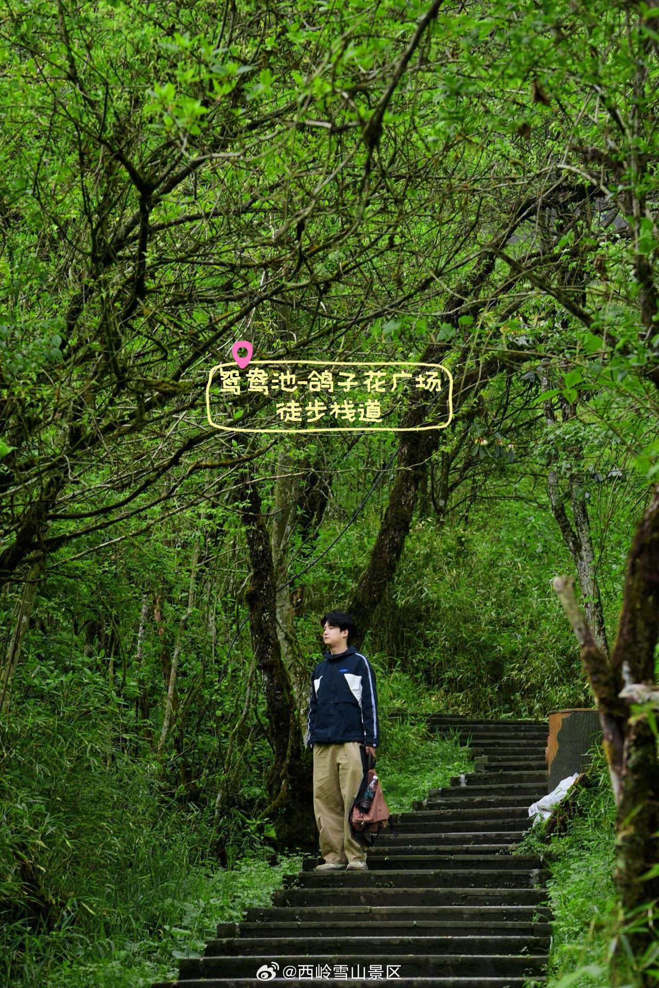 西岭雪山两大景区｜超全出片打卡点📸西岭雪山两大景区神仙机位汇总！分景区超清晰打