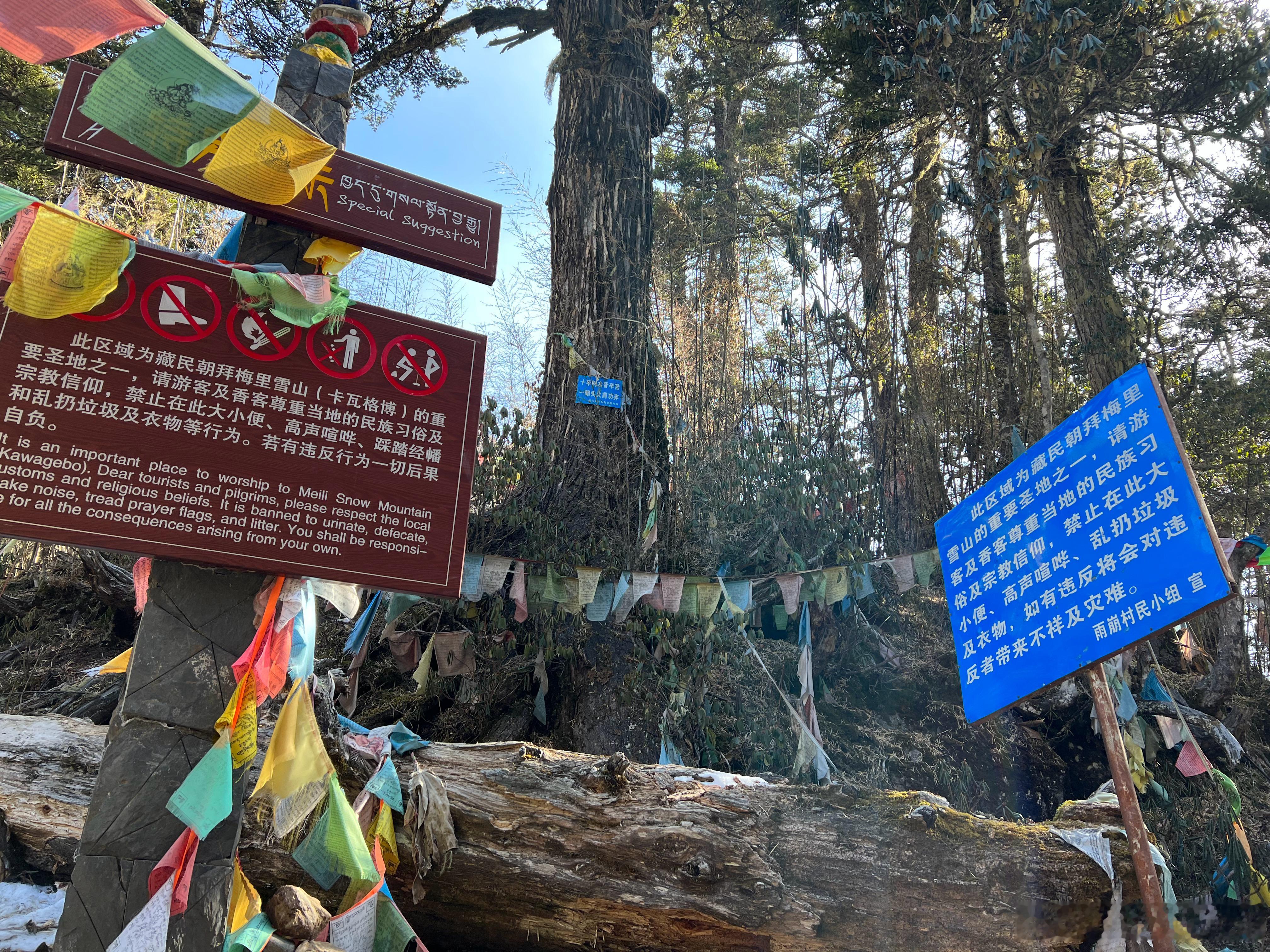 偶然聊天想起来三年前和朋友去雨崩徒步，知道了一个事儿就是梅里雪山是禁止攀登的，源