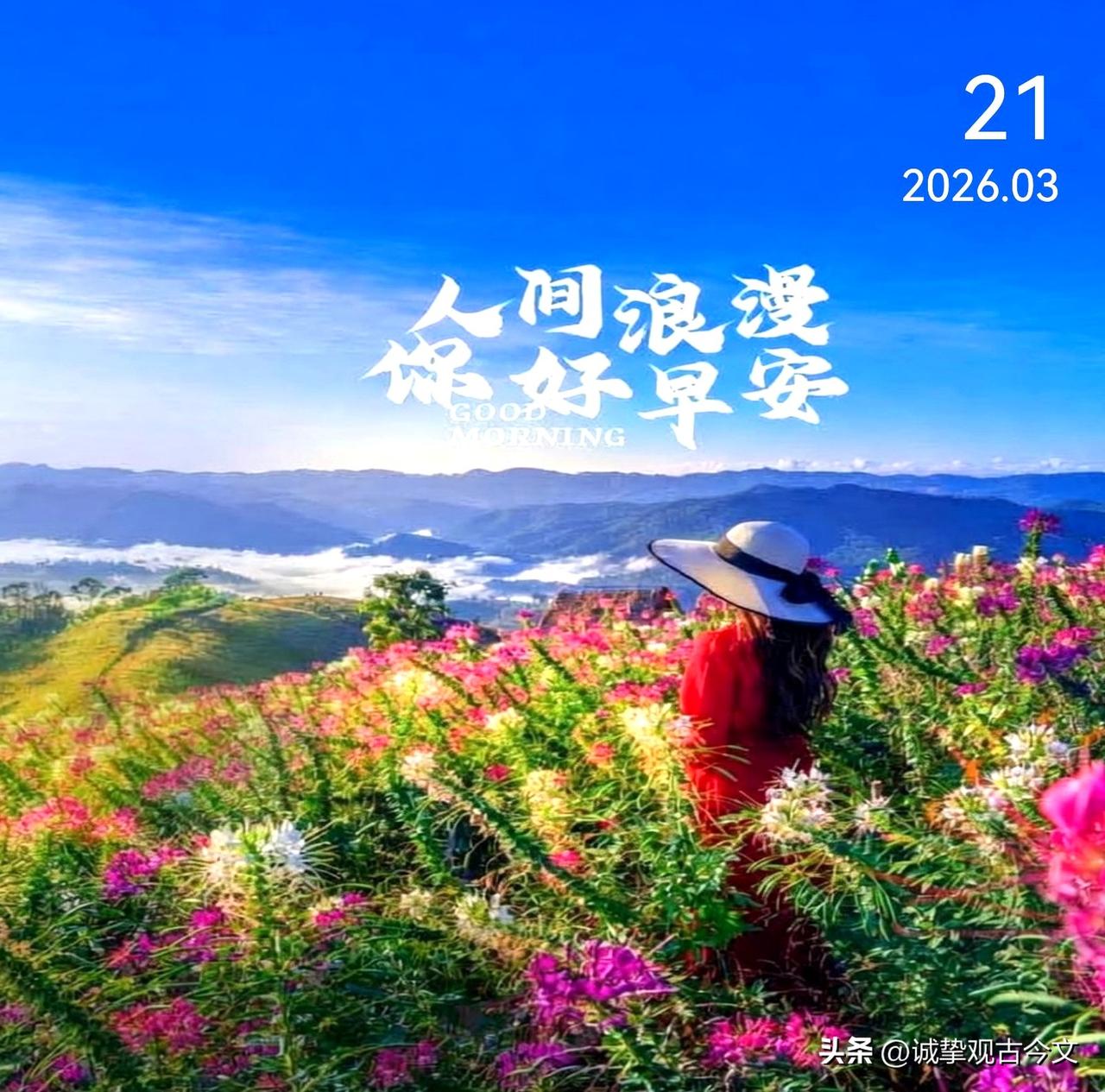 生活里偶尔会有惊喜，比如遇见温柔与心动，当遇见时，无需太过紧张，欣然接受，认真感