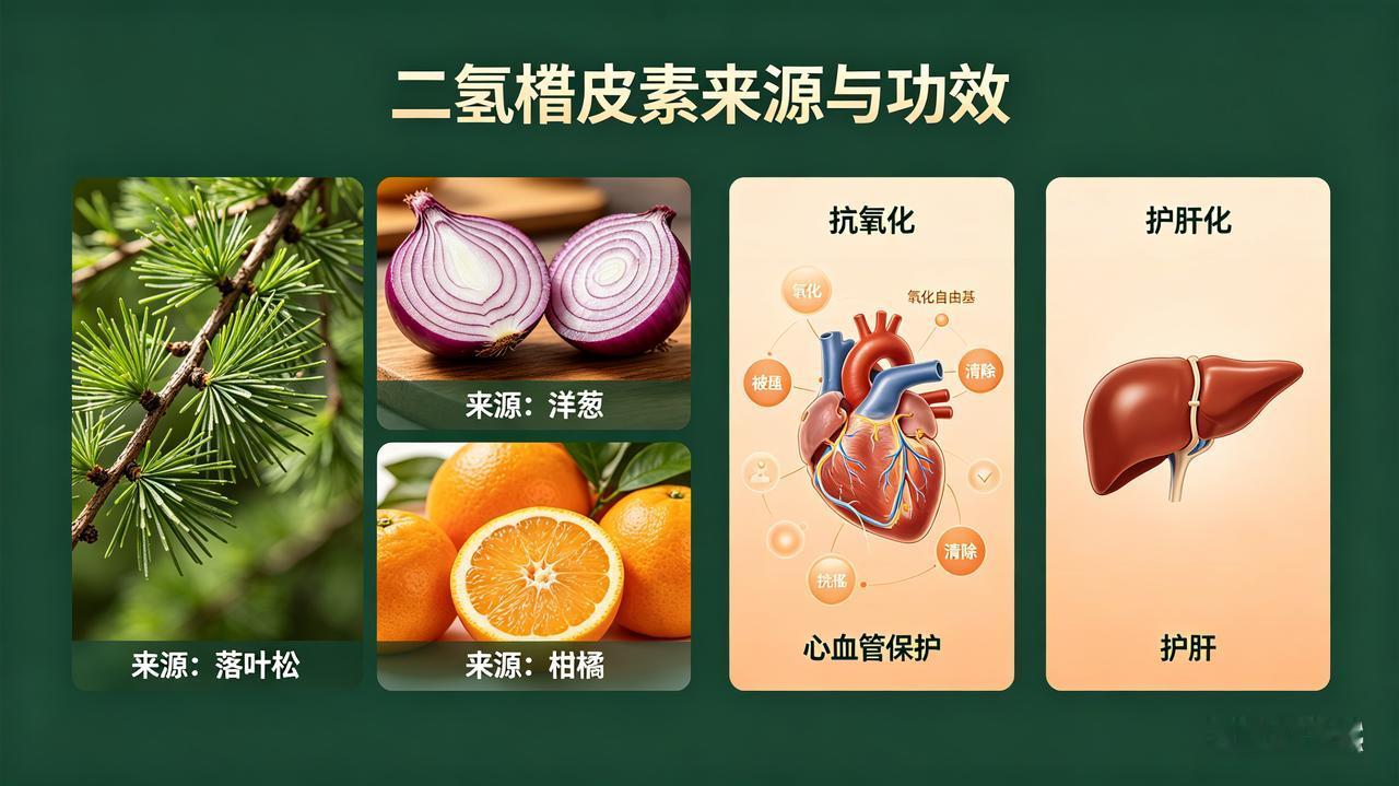 二氢槲皮素对人体的好处
二氢槲皮素，又名花旗松素，是一种天然存在于落叶松、洋葱、