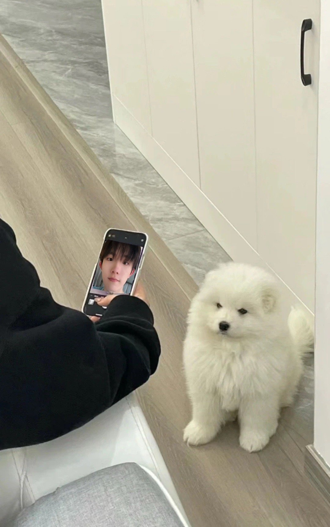 寻狗启事姓名：苏新皓年龄：1.5岁特征：右边眼角有一颗泪痣 左边有脸颊痣  身高