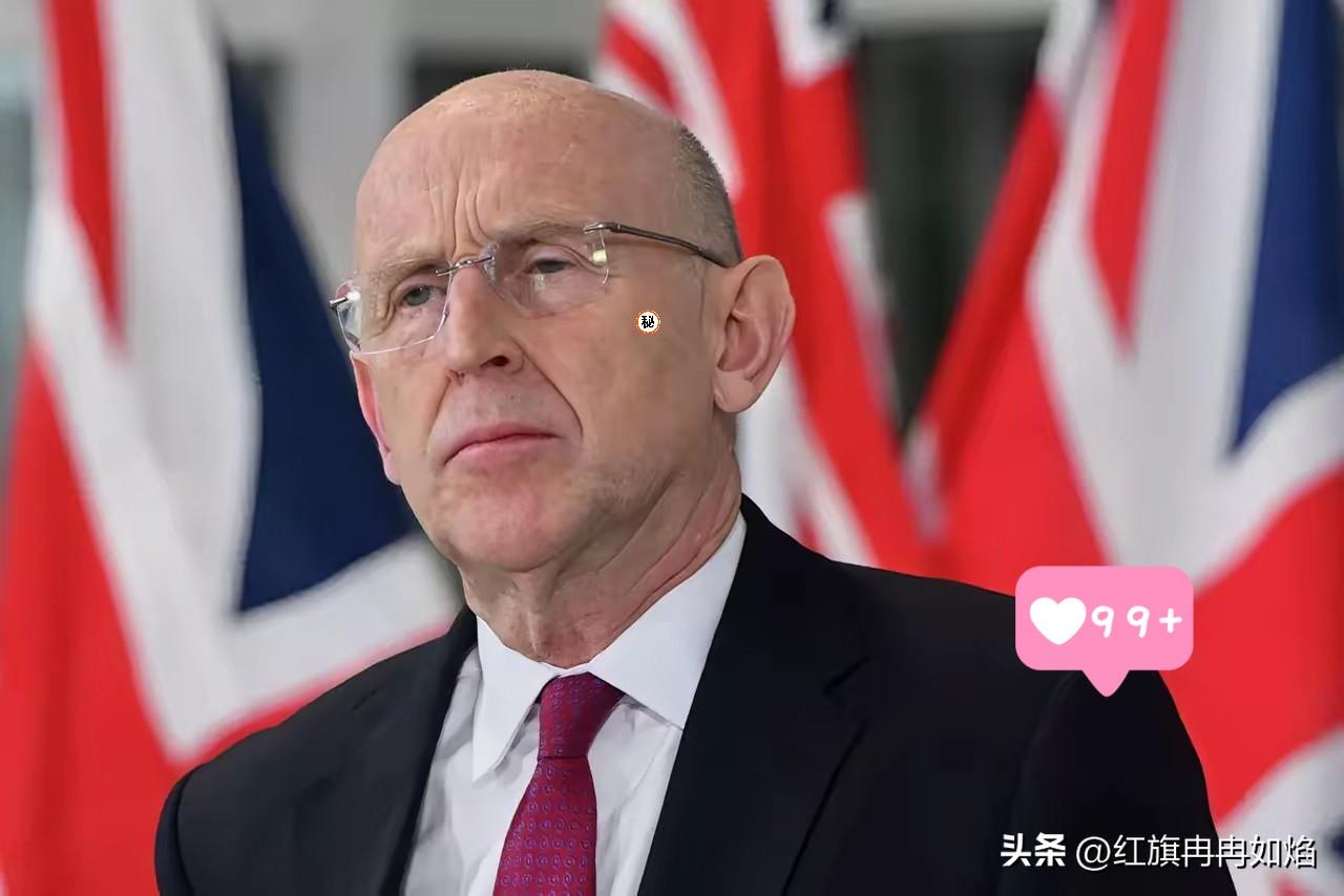 英国国防大臣差点无法返回英国。
据俄罗斯卫星通讯社5月25日报道，英国国防大臣约
