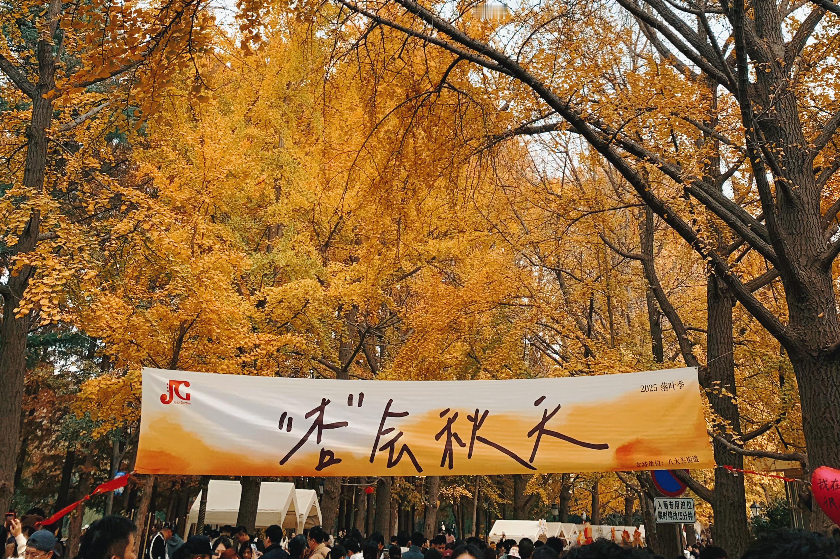 好看是好看就是银杏太臭了边yue边出片的是这个👍🏻 