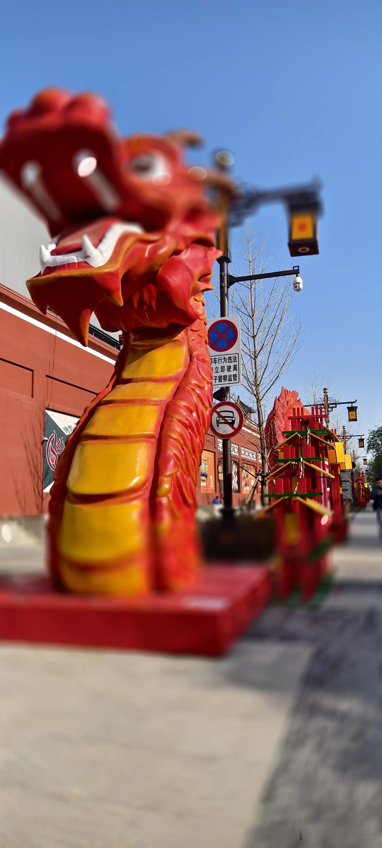 中国红   拍摄于沈阳龙城