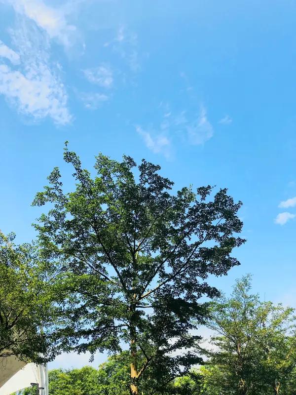 要说我心中最经典的韩剧，那非《请回答1988》莫属，豆瓣评分高达9.7。2015