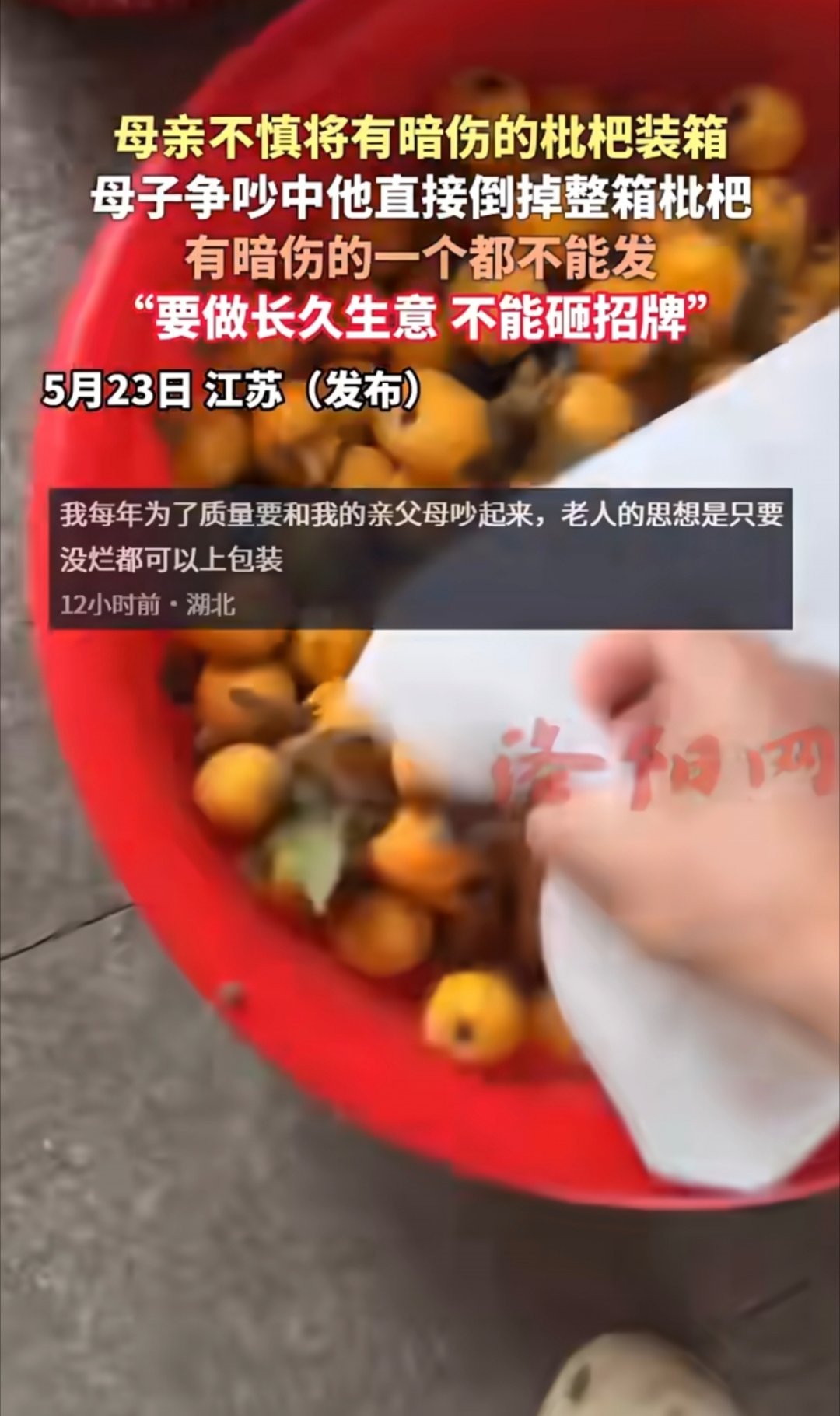 母亲将有暗伤枇杷装箱男子整箱倒掉做生意是真的不能让老人帮忙。有的老人的思想一下子