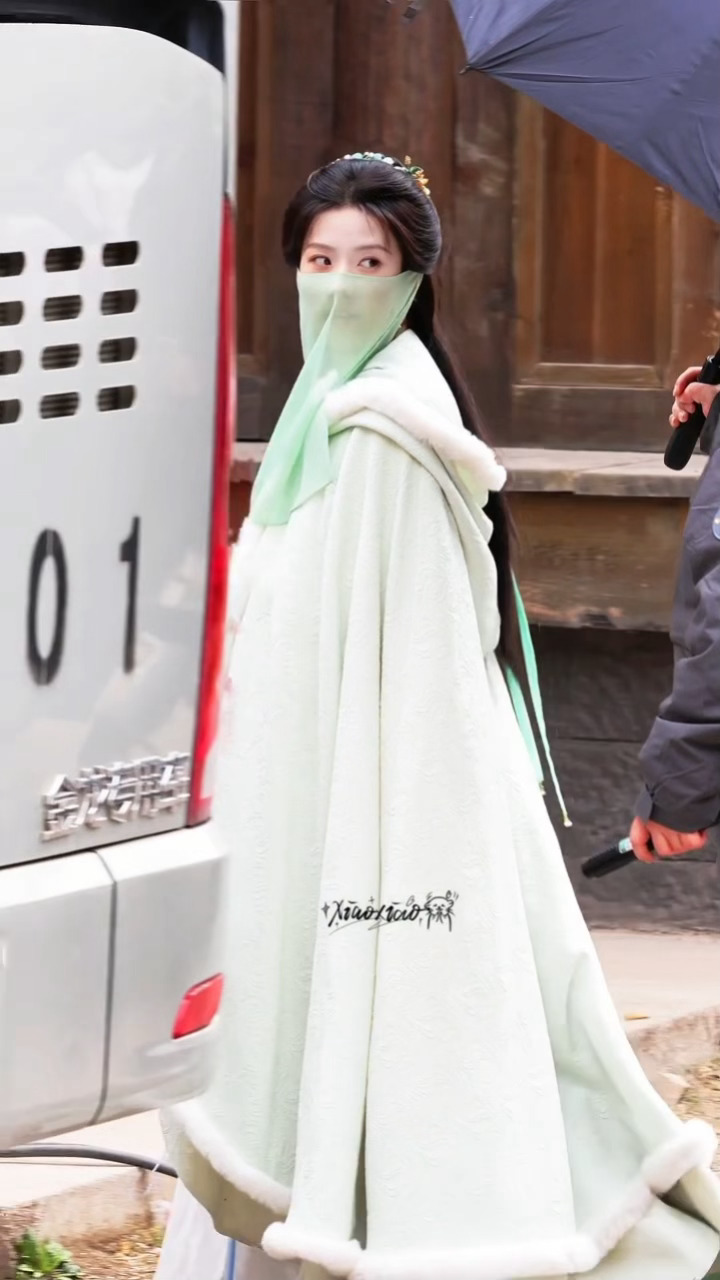 南衣仙子….🧚♀️卢昱晓何不同舟渡面纱造型