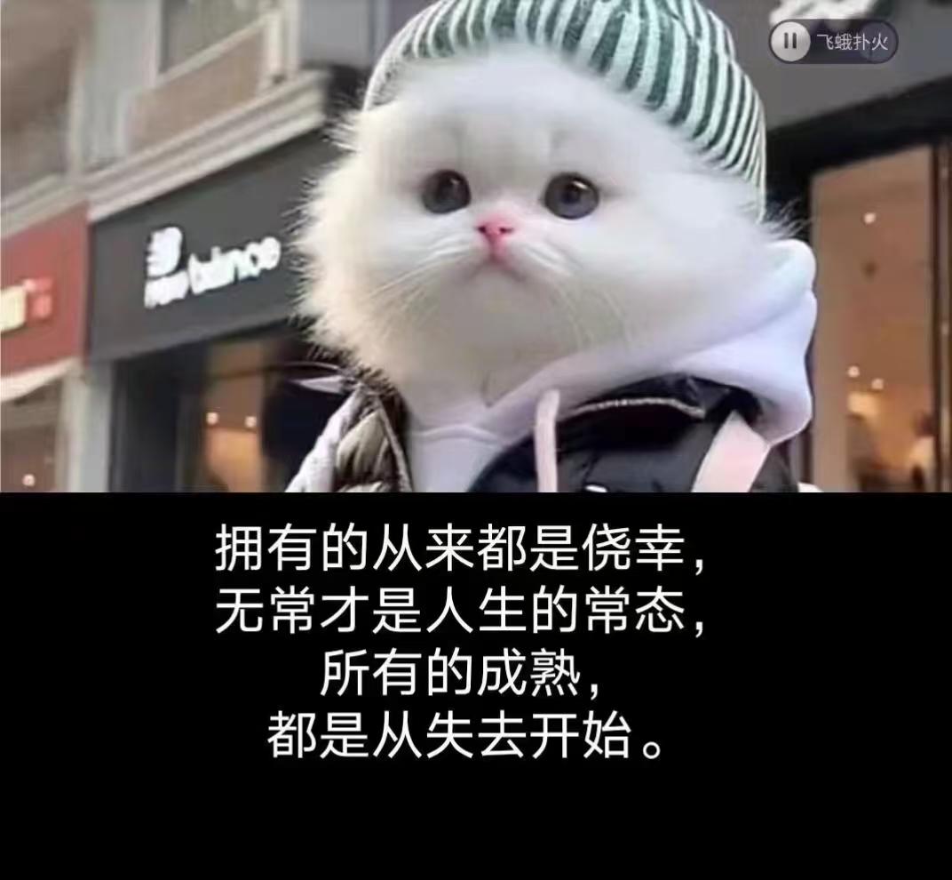 所有的成熟，都是从失去开始的吗？