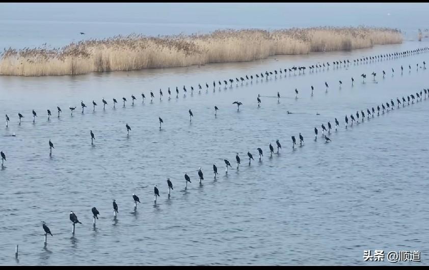 一个孕妇连线直播间，说她老公让她提前剖腹让孩子出生，才八个月，她问医生了，提前剖