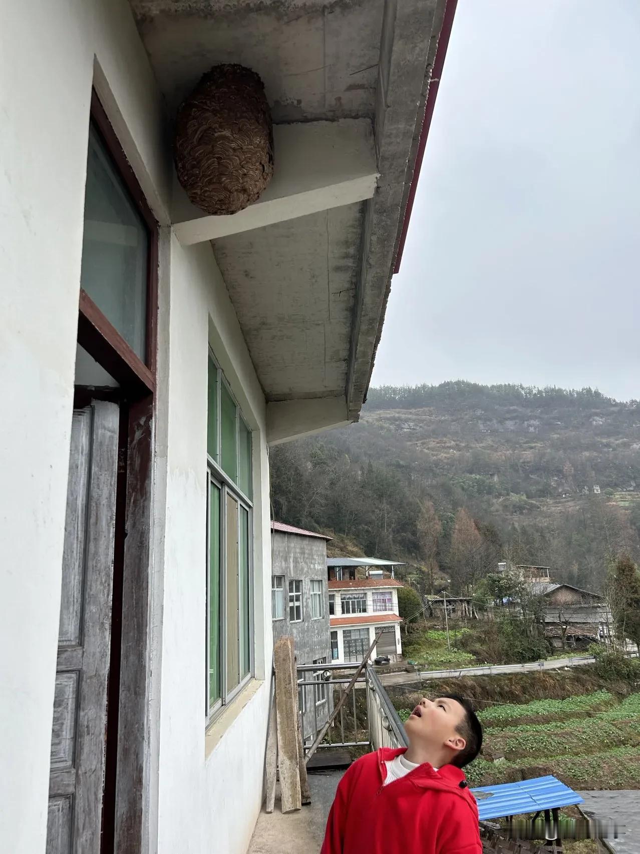 老家室外楼顶下的这个马蜂窝，要怎么处理比较好？老铁们出出主意吧！#如此大的蜂窝#