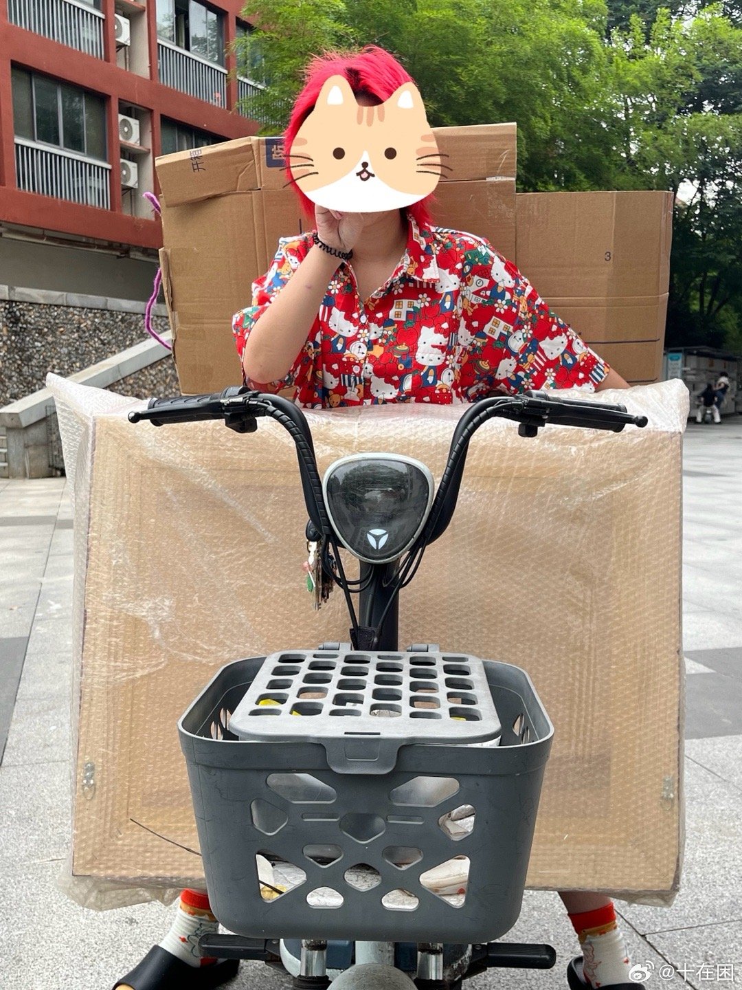 。。。。。。。毕设终于撤展了又要像货拉拉一样在学校里搬来搬去 