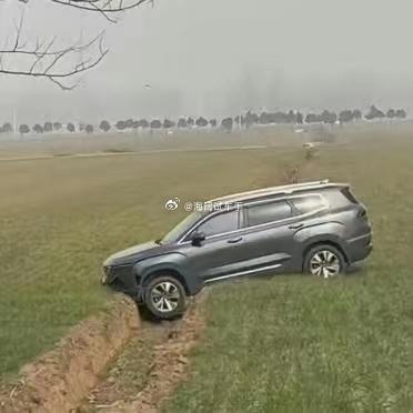 猜车啦！！！这是哪路神仙进稻田了？？？