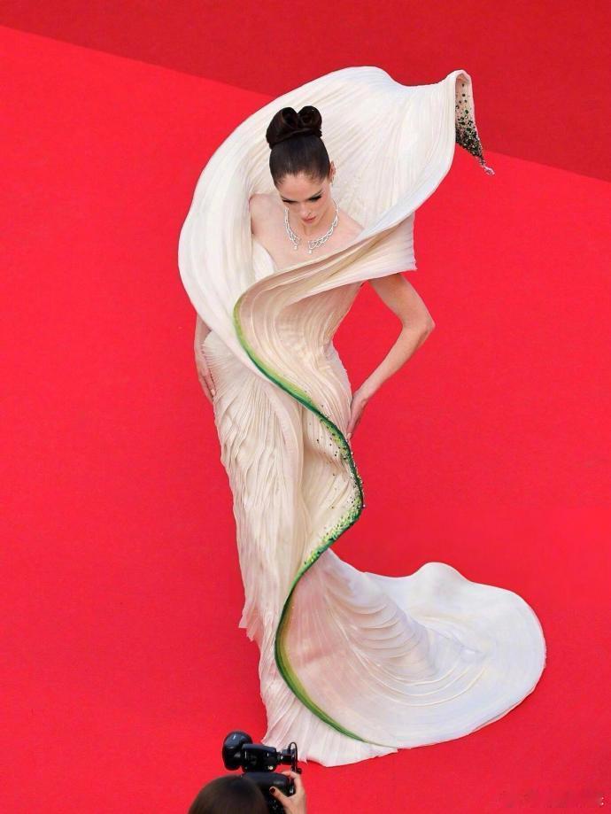 超模Coco Rocha在戛纳红毯穿的礼服，像两片大黄瓜裹着，时尚不是普通人能懂