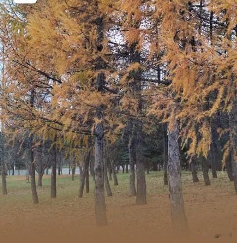 批评藏意，择友而行
 
弗洛伊德曾说：“真正看不起你的人，是不会批评你的，他只会