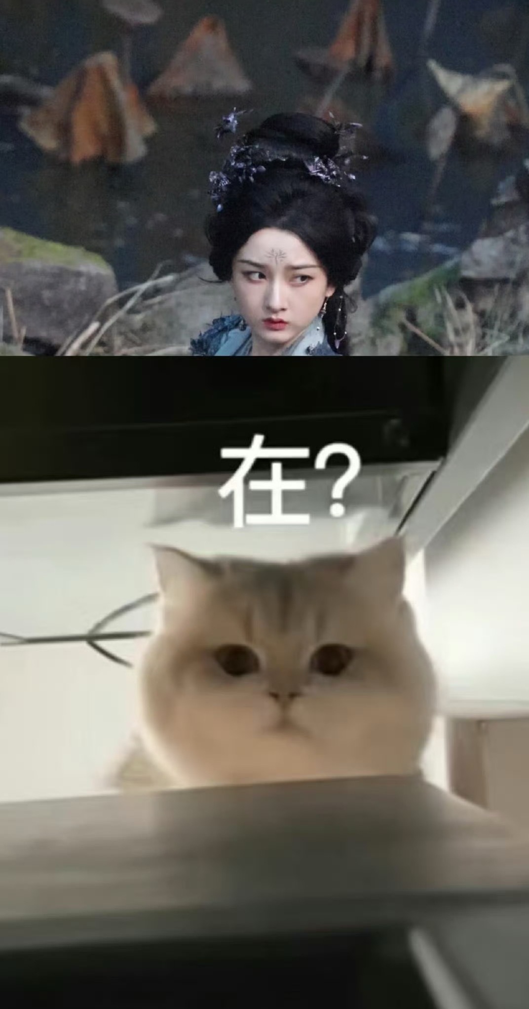 宋祖儿聊斋客串路透 蓝衣大妖 ​​​