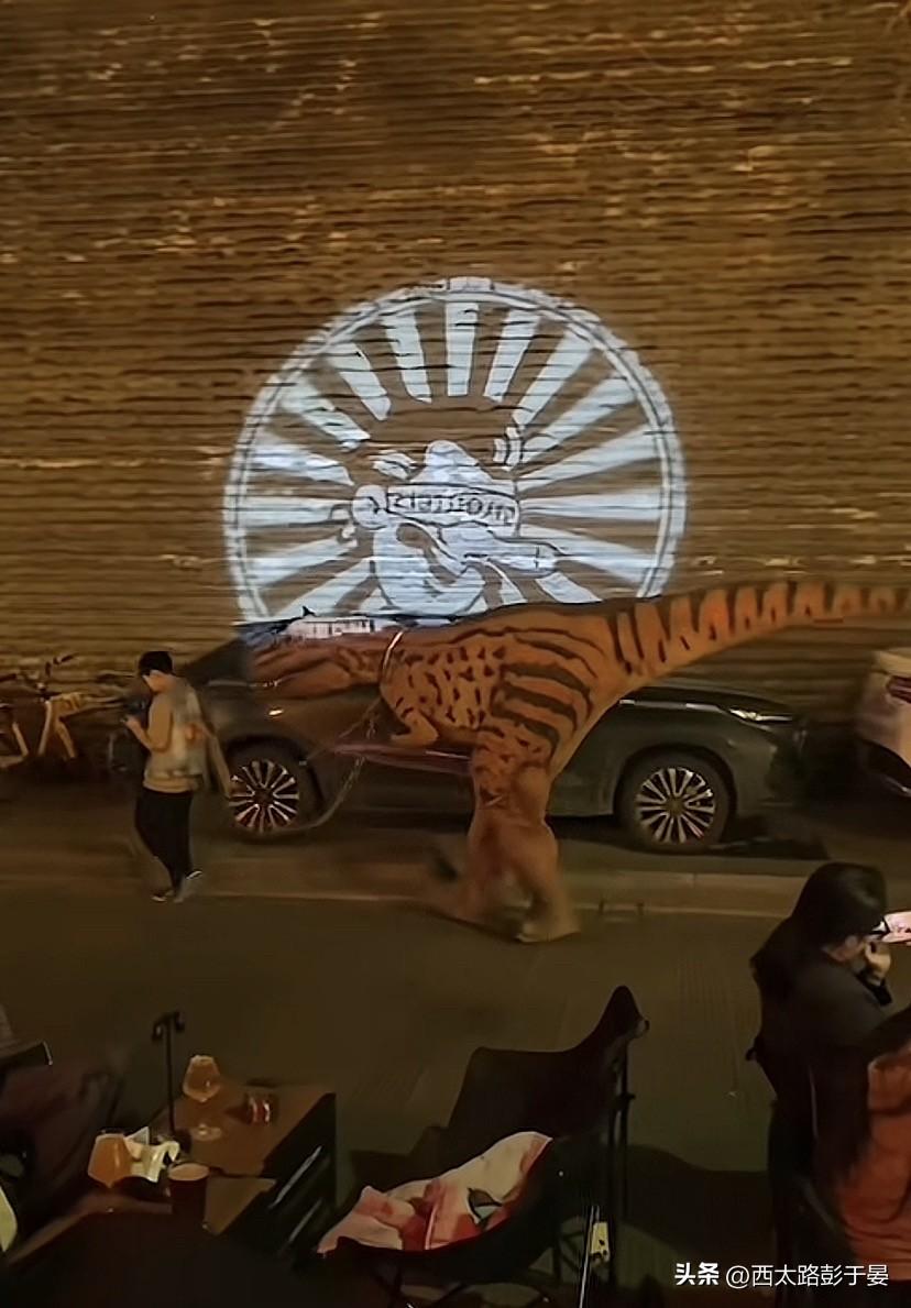 额湿他背，我真该睡了！有人在城墙底下遛恐龙呢？

论“日韩干”的劲头，西安人绝对