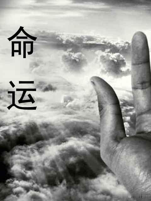 如果我的能力决定了我只能平庸

那平庸就是我的最大价值！

人纵然万般努力，也抵