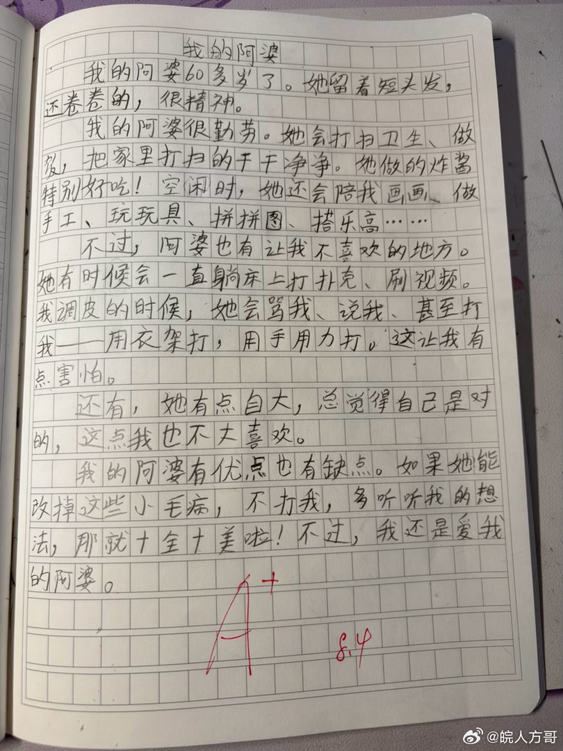 方小丫日记 小丫暑假作文：我的阿婆 