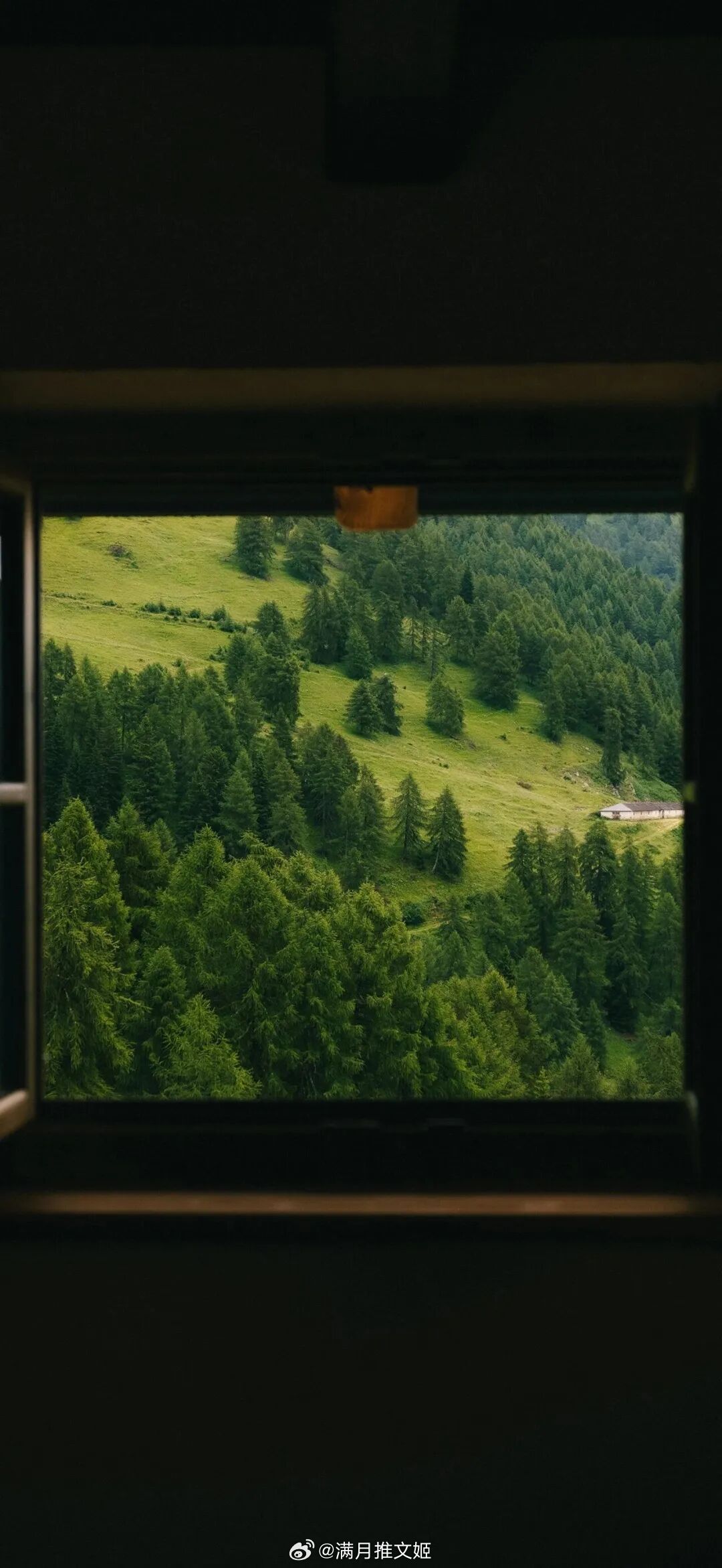 “爱与梦是括号的两端，我把我的身体置于中间，从此，我认识世界。”——阿多尼斯《纪