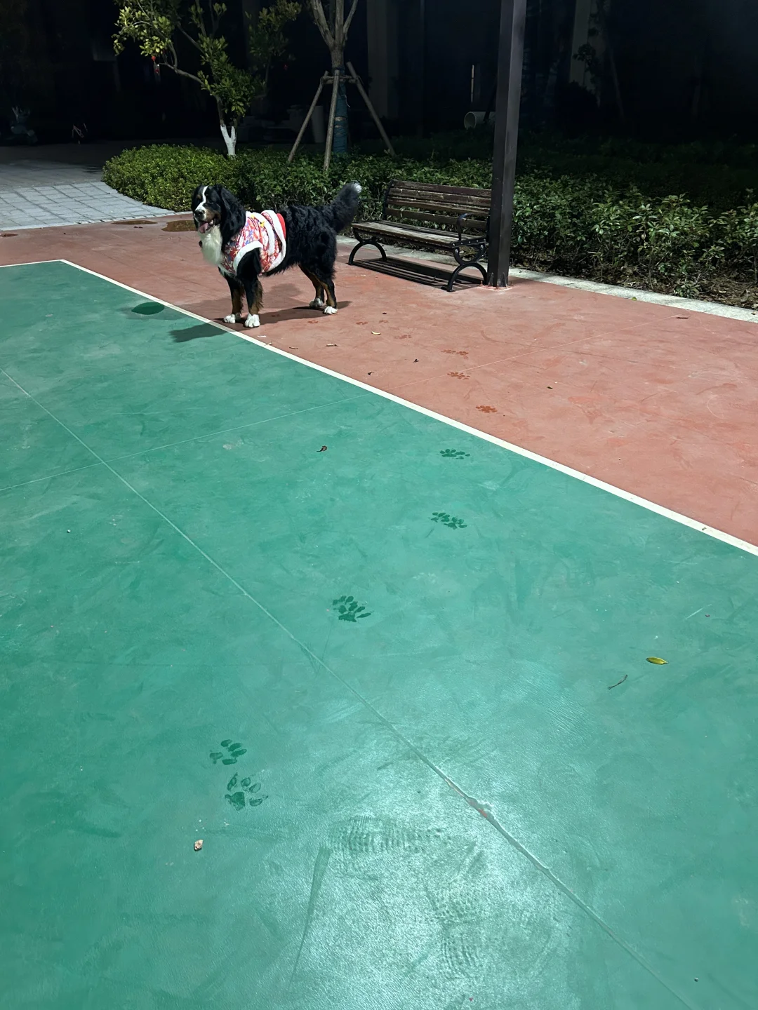 超大号汗脚🦶🏻干不了间谍